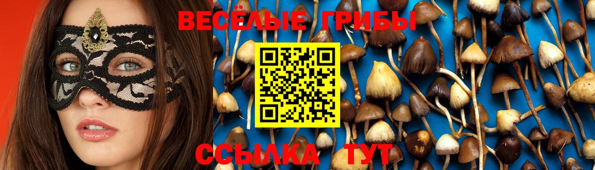 Псилоцибиновые грибы Cubensis Сарапул